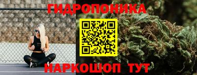 дурь Новодвинск