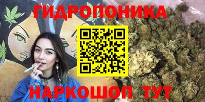винт Новозыбков