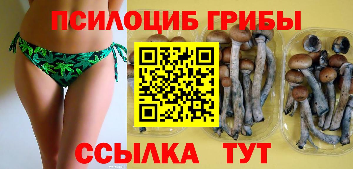 Галлюциногенные грибы GOLDEN TEACHER  Галлюциногенные грибы Psilocybine cubensis  Тобольск  Вход с VPN 